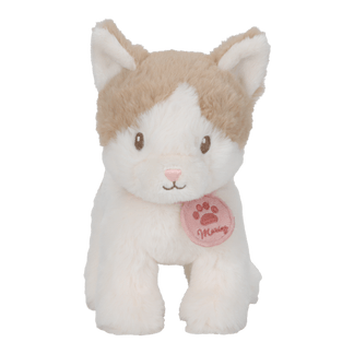 Plush cat in a bag