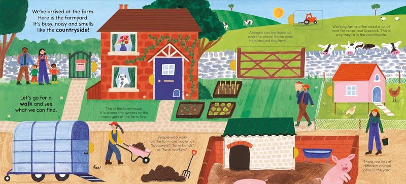 WALK ON THE FARM (LIFT THE FLAP) (BOARD)