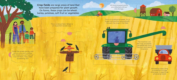 WALK ON THE FARM (LIFT THE FLAP) (BOARD)