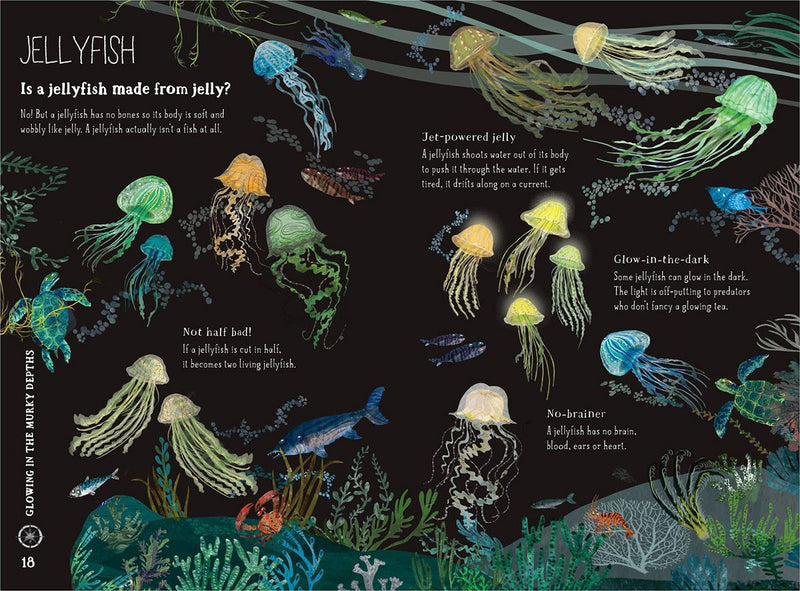BIG BOOK OF THE BLUE (HB)