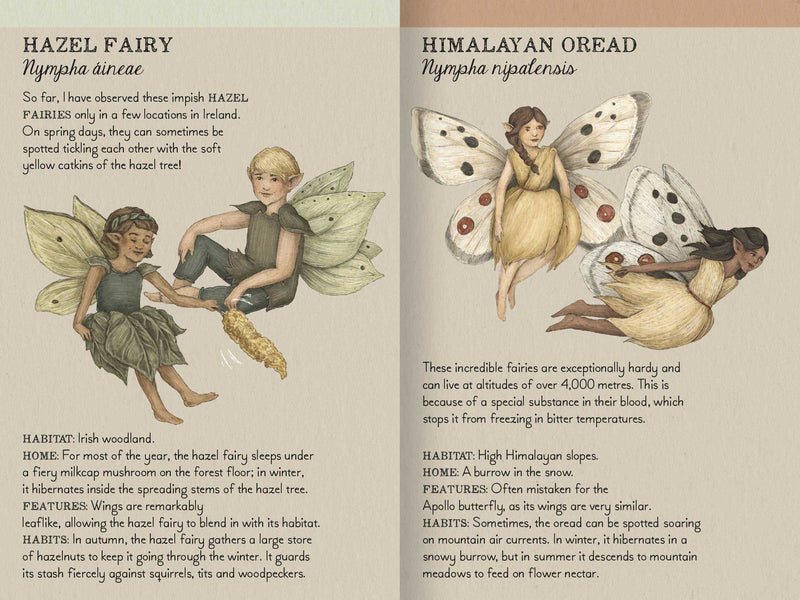 FIND THE FAIRIES: A MEMORY GAME