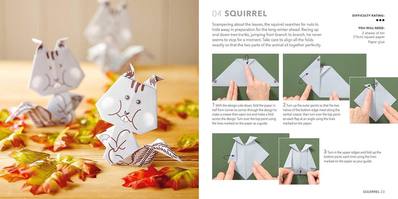 NATURE ORIGAMI: PAPER BLOCK AND BOOK
