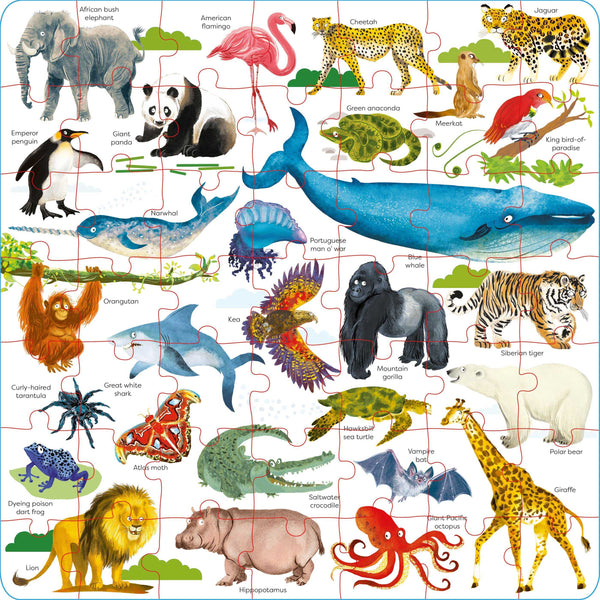 BOOK AND JIGSAW: WILD ANIMALS
