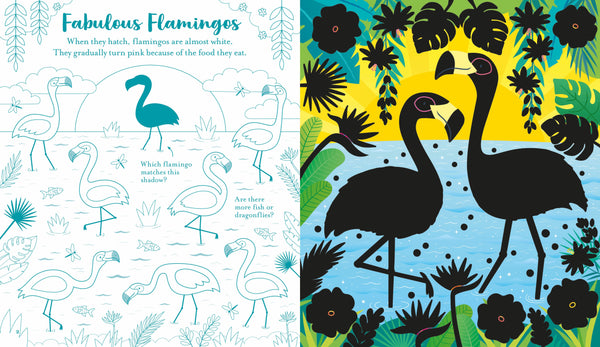USBORNE SCRATCH ACTIVITIES: ANIMALS