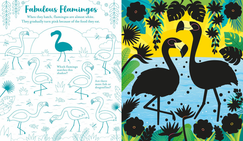 USBORNE SCRATCH ACTIVITIES: ANIMALS