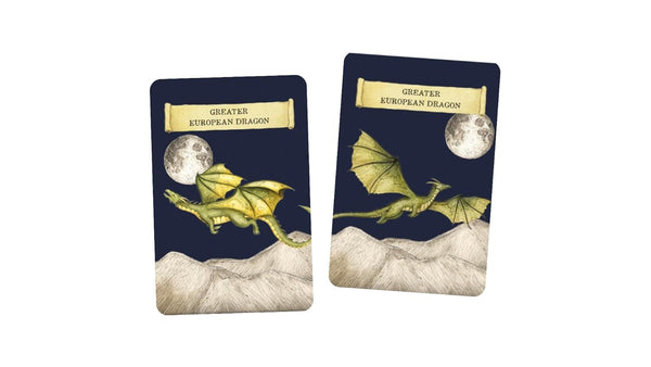 DISCOVER THE DRAGONS: A MEMORY GAME