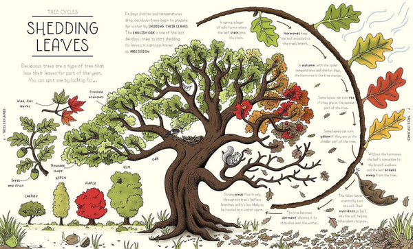 NATURE EXPLAINED (HB)