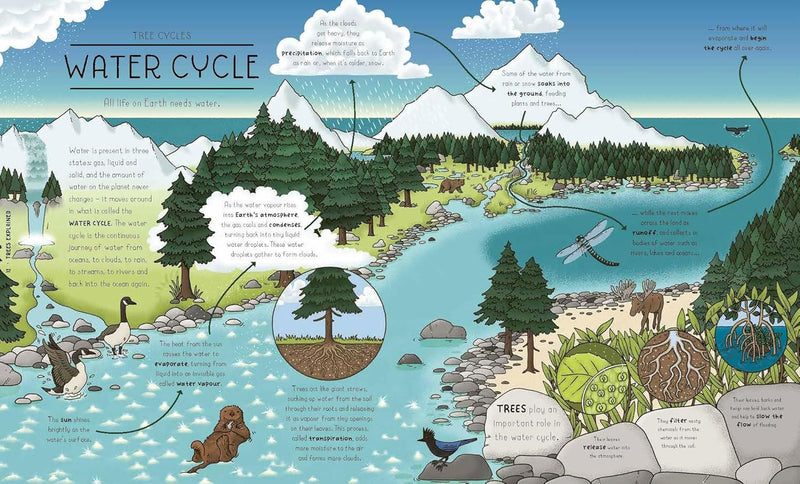 NATURE EXPLAINED (HB)