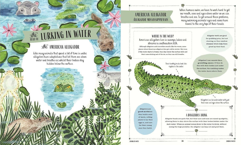 WILD: A CHILDS GUIDE TO THE ANIMAL KINGDOM (HB)