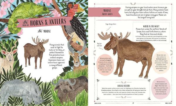 WILD: A CHILDS GUIDE TO THE ANIMAL KINGDOM (HB)