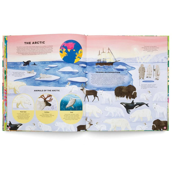 ANIMALS EVERYWHERE (HB)