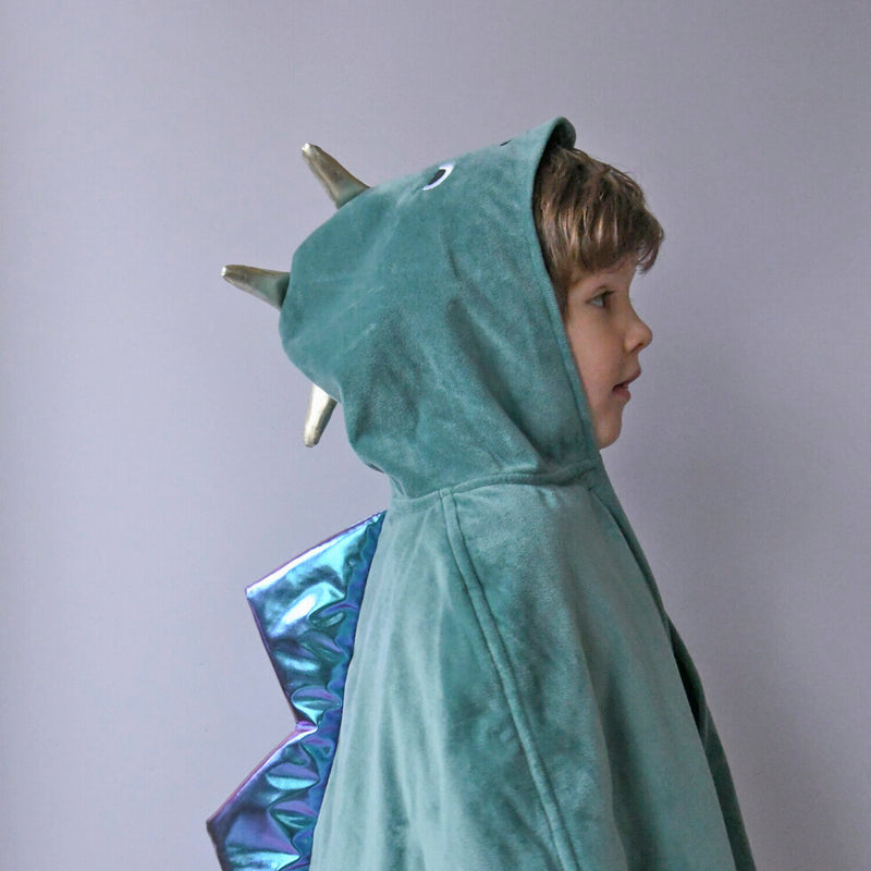 Dinosaur Dress Up Velvet Cape