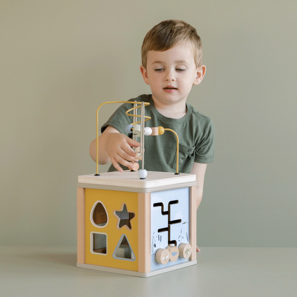 Activity Cube Little Goose