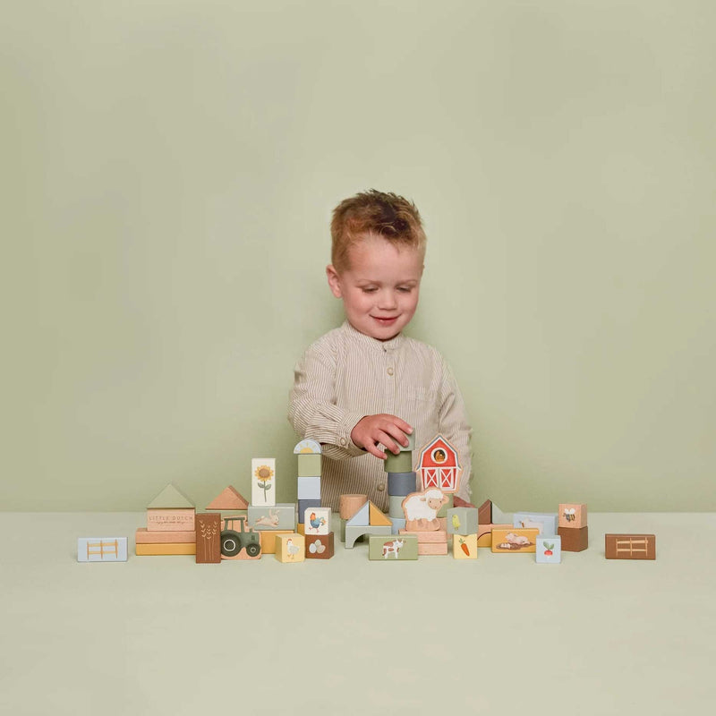 Building Blocks FSC - Little Farm